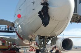 Iberia A350 birdstrike