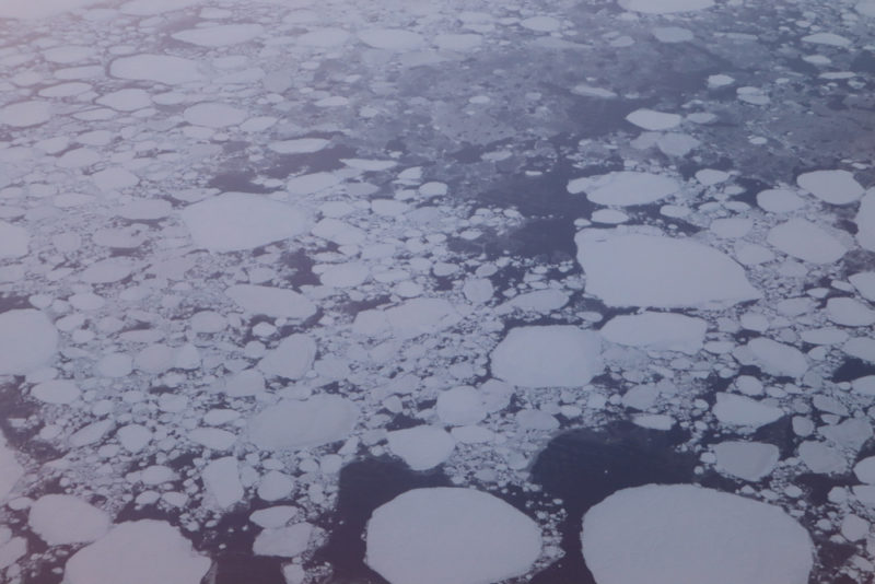 ice floating icebergs in the water